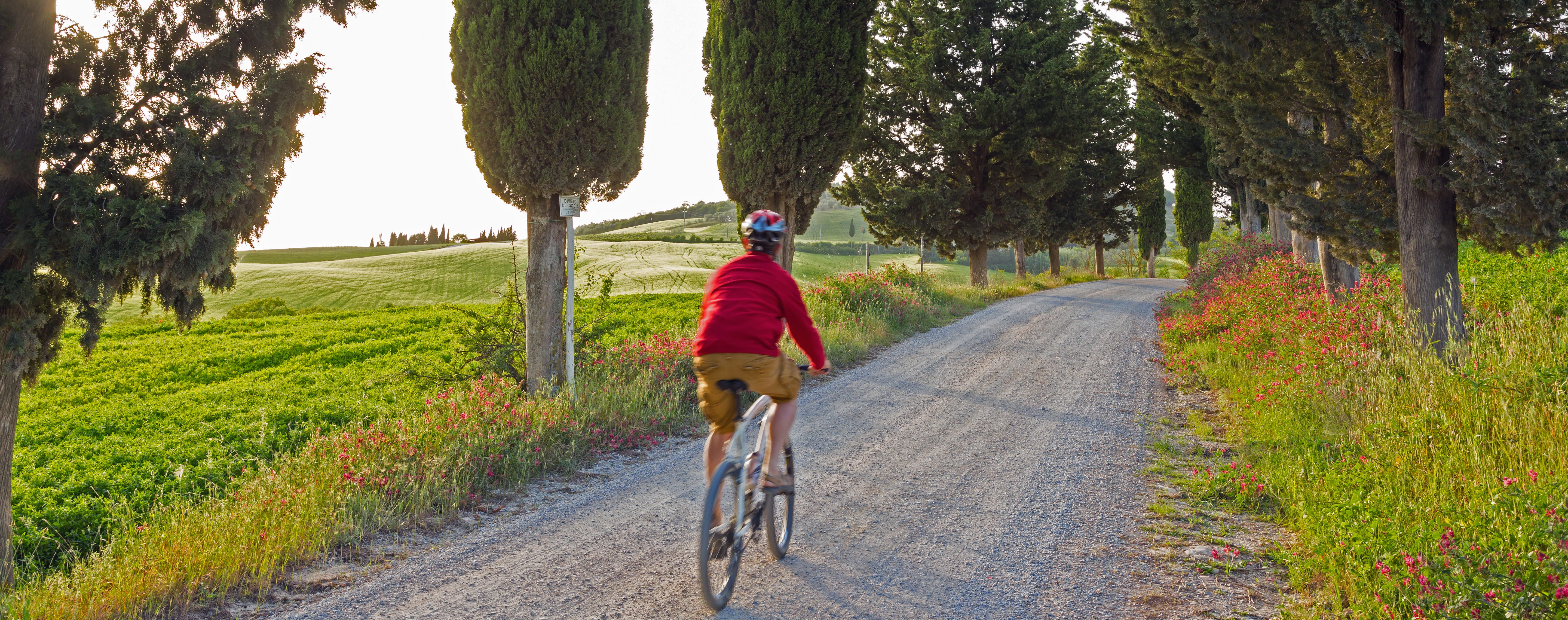 Bike tour in the Florentine hills