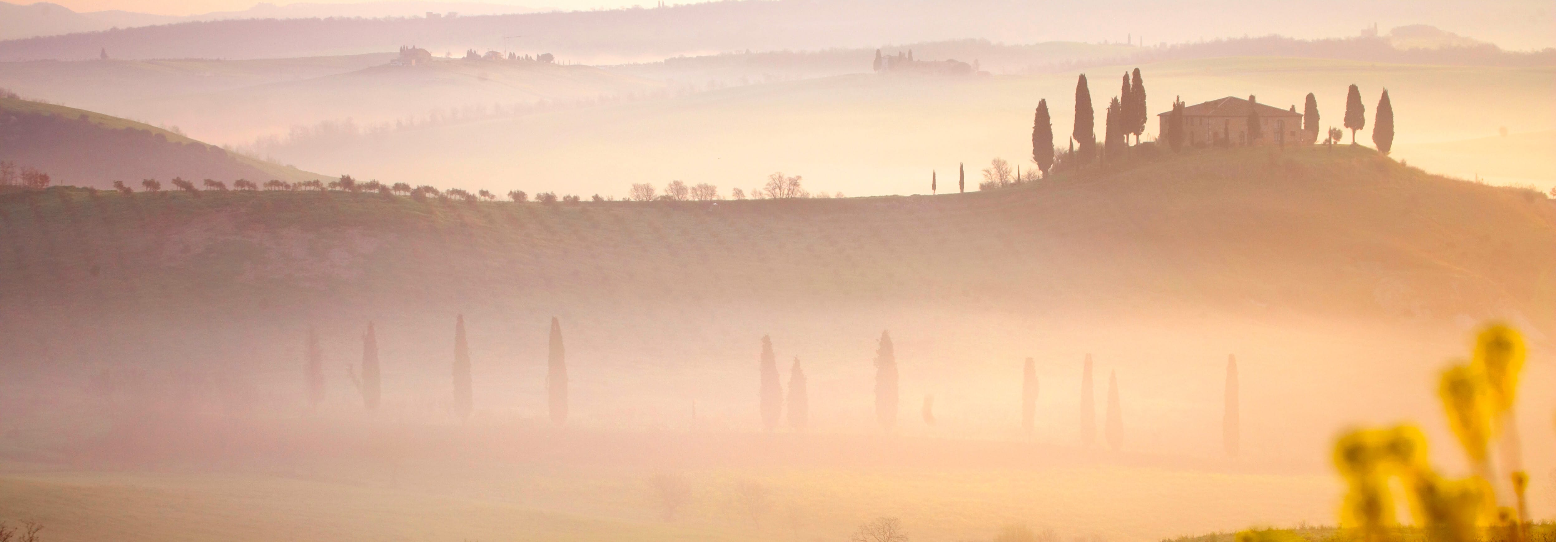 Val d’Orcia Wine & Cheese Experience